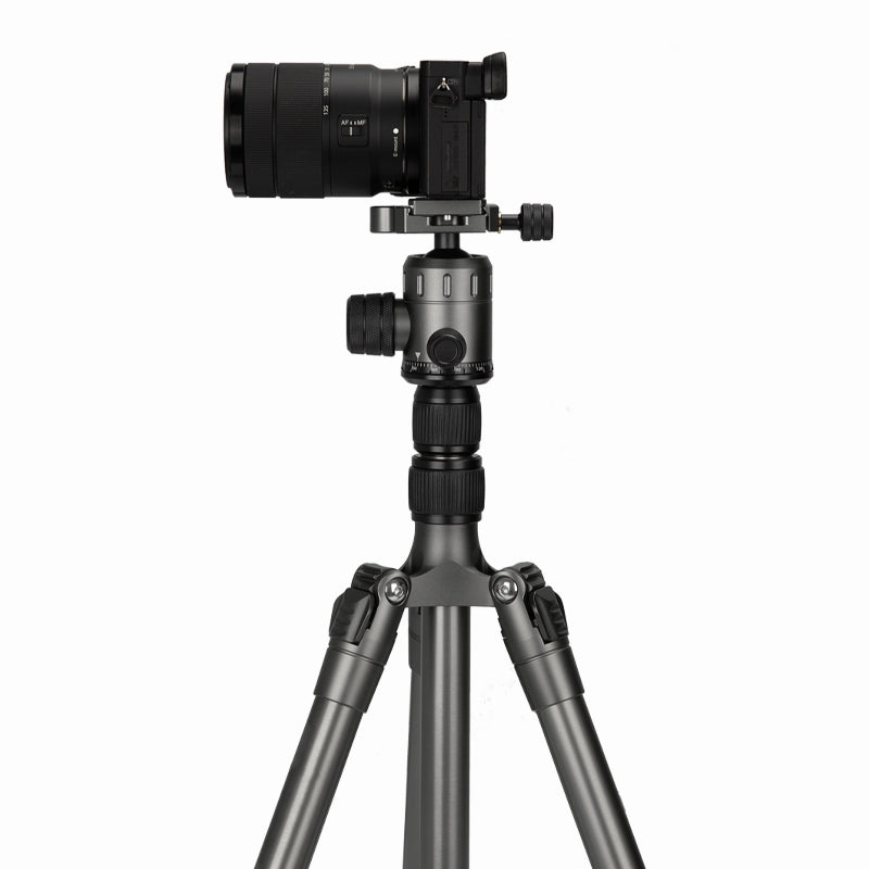 z111.jpg